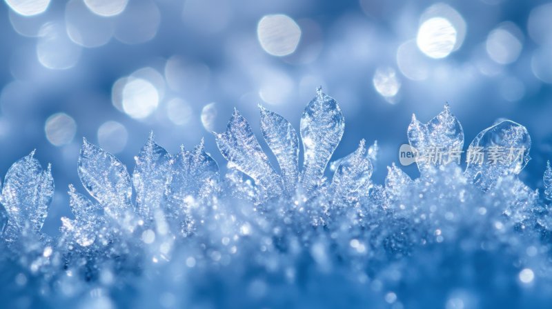 冬天寒冷雪白飘雪雪花冰花特写