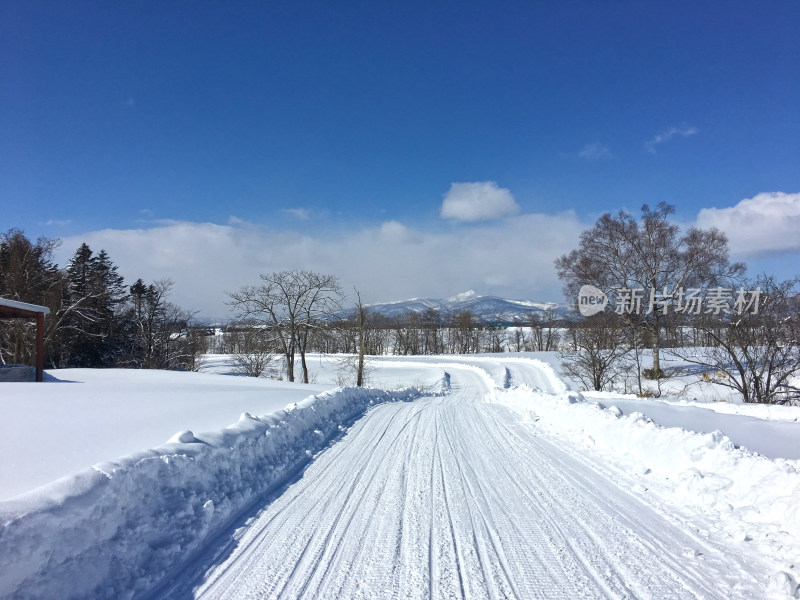 雪地小道