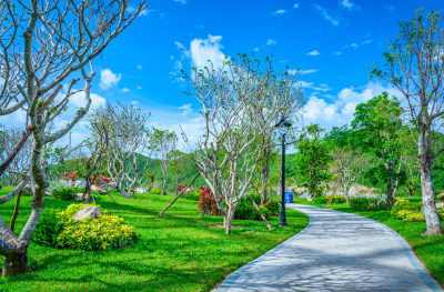 越南芽庄珍珠岛游乐园园林景观设计