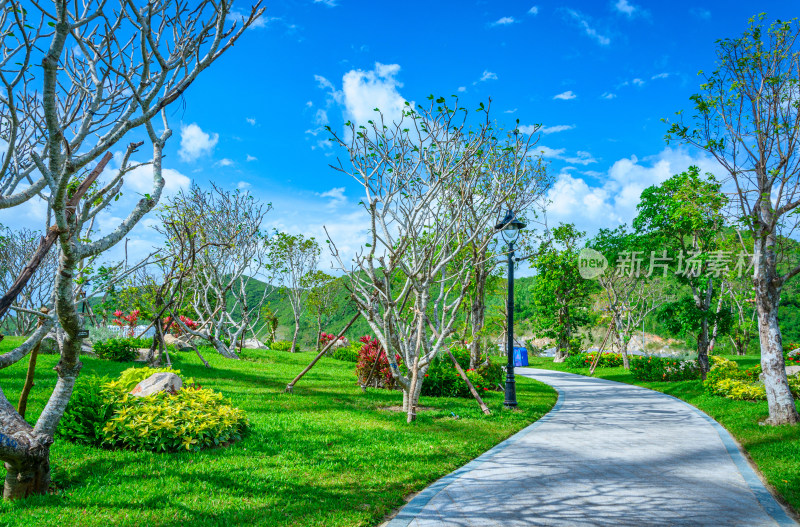 越南芽庄珍珠岛游乐园园林景观设计