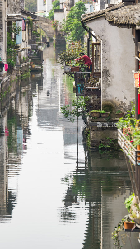 绍兴仓桥直街江南水乡风景