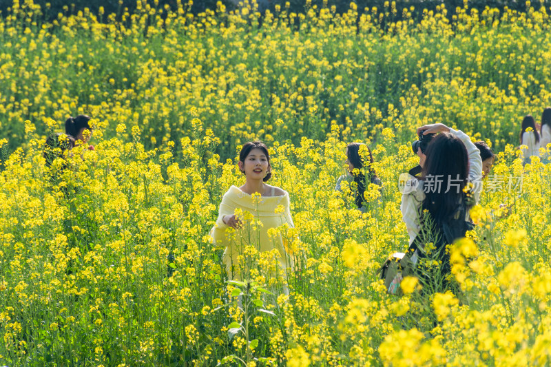 福州花海公园女孩在油菜花田拍照场景