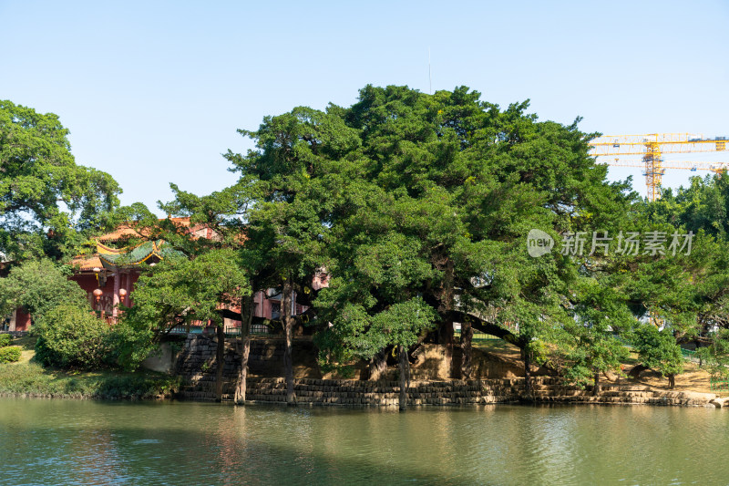 福州流花溪公园