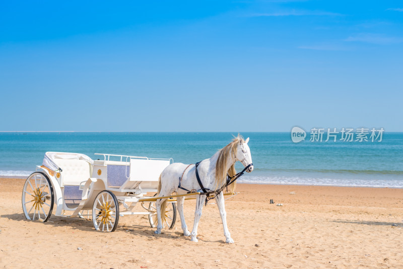 海滩沙滩海岸线