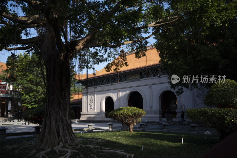 珠海普陀寺