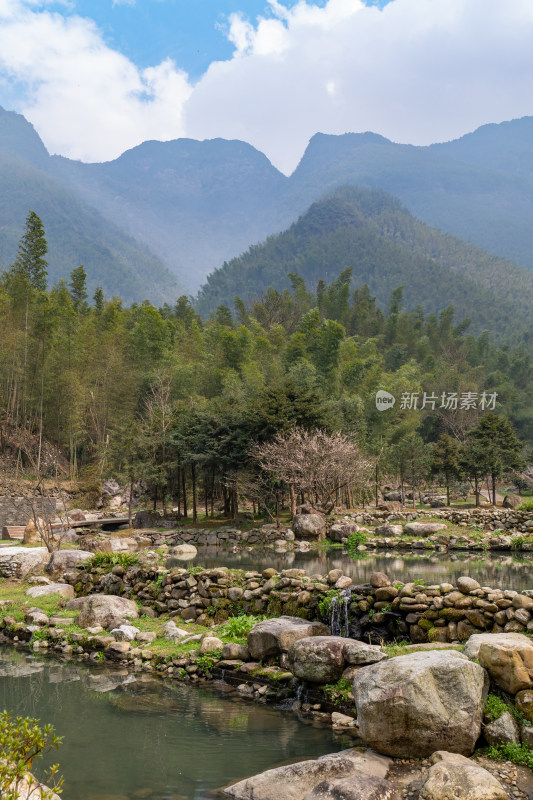 山林间的池塘景观，自然风光优美