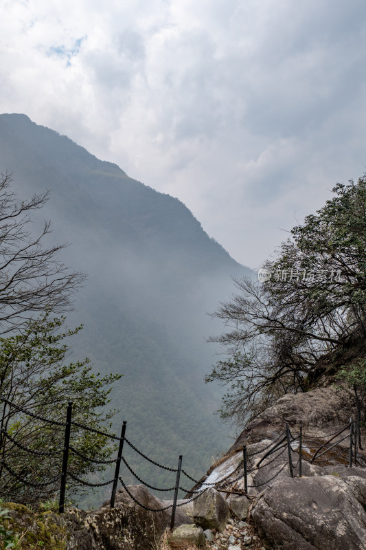 山间雾气弥漫的山林风景