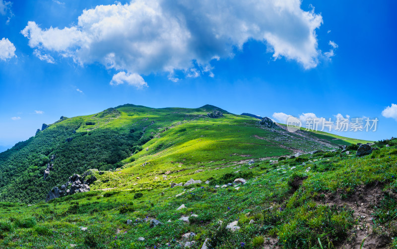 夏季蓝天白云绿色高山草甸群山大气风光