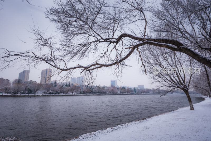 下雪了城市公园自然风景