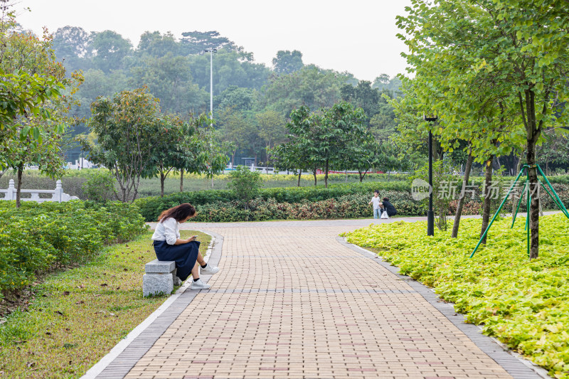 深圳市石岩湿地公园