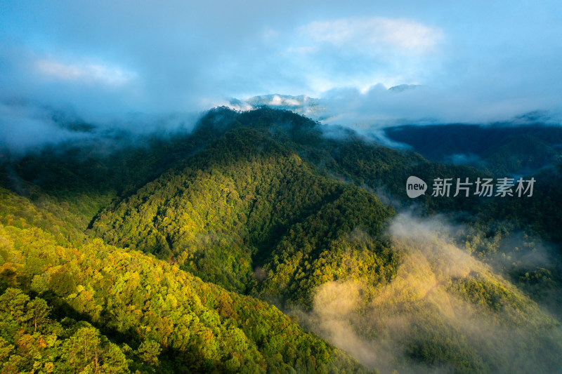 山川云雾 阳光森林