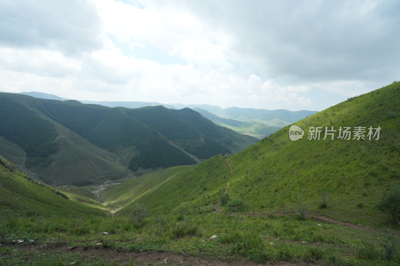 麻田岭夏季风光