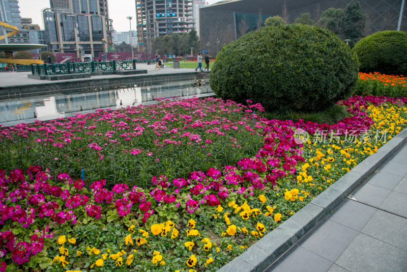 城市花台景观