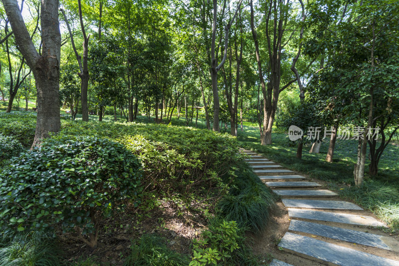 武汉武昌区首义公园风景