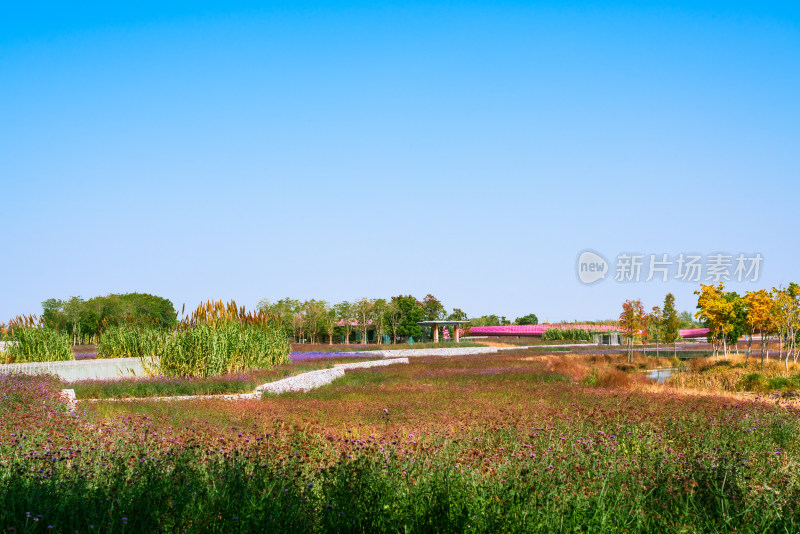 三台山公园户外草地景观视野开阔的自然风光