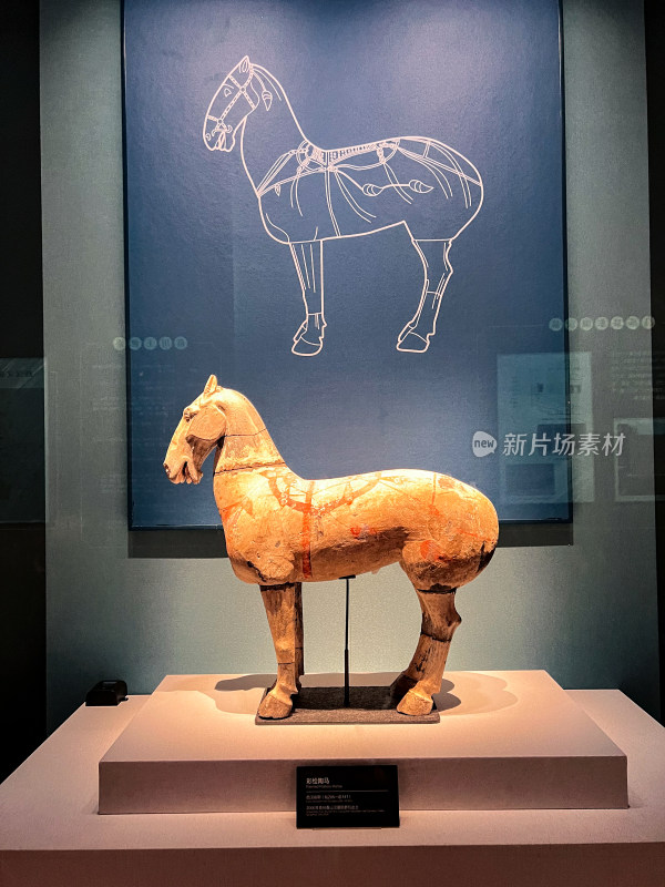 博物馆陶制马文物展示