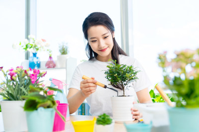 年轻女子在家种植盆栽