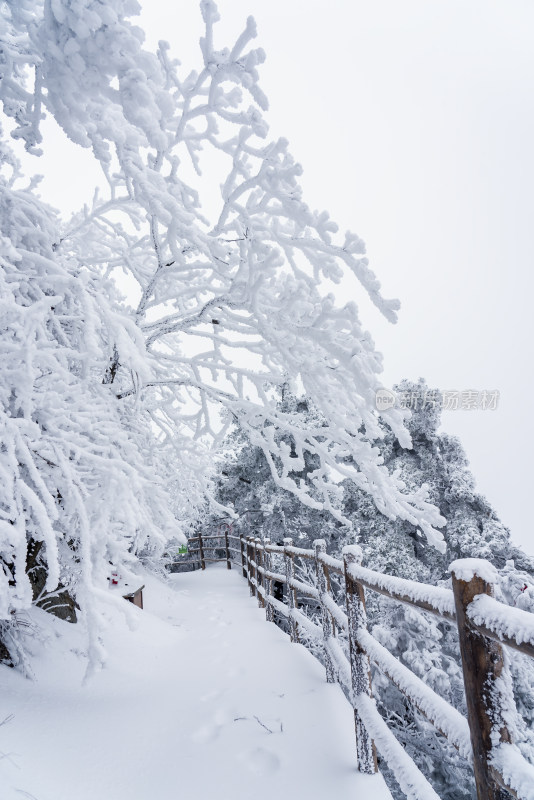 冬天大雪景区步道栏杆