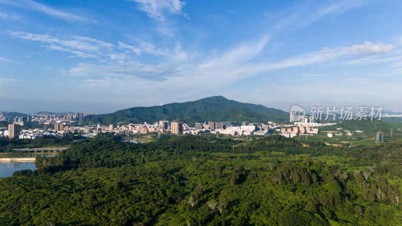 深圳宝安区铁岗水库