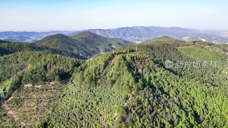 绿色植物森林山川森林航拍图