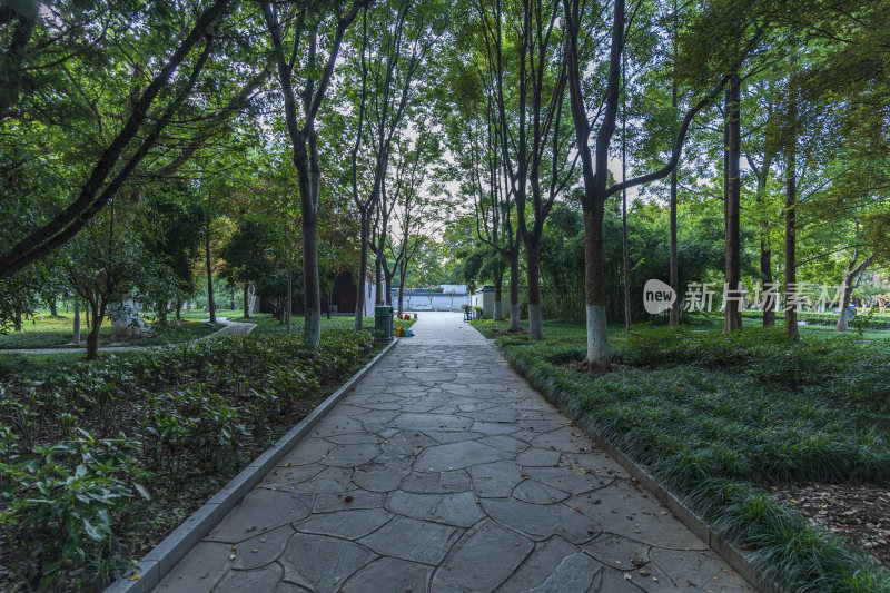 武汉青山区和平公园风景