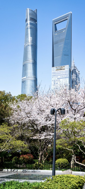 上海城市风光与地铁站口樱花