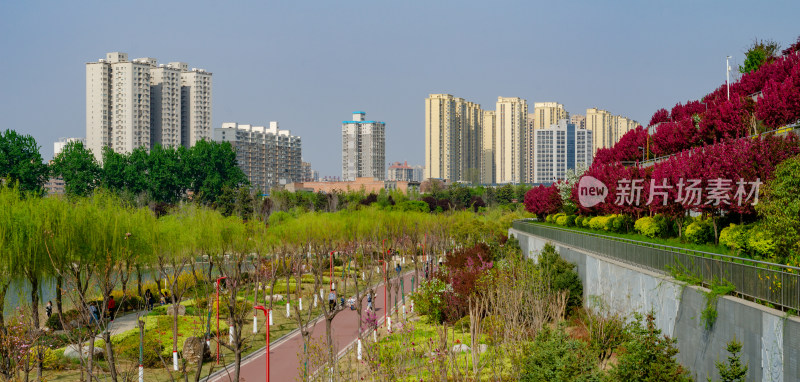 渭南市春天的南湖公园风景