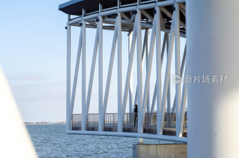 上海滴水湖的白桥上，眺望美丽的风景