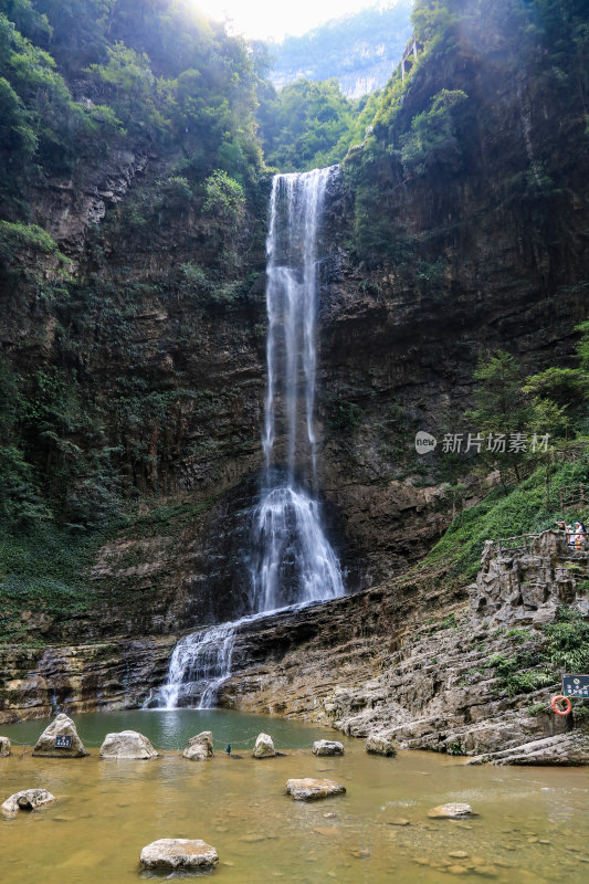 湖北宜昌三峡竹海风景区，自然风光，竹海