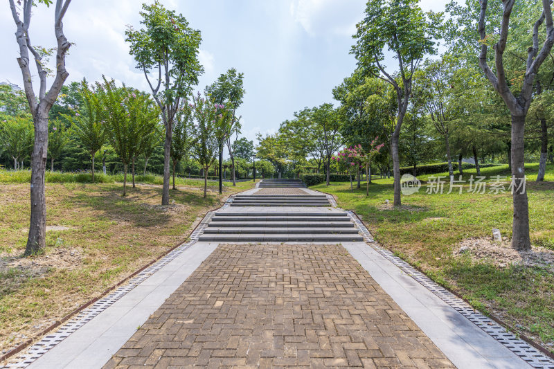 武汉青山区戴家湖公园风景