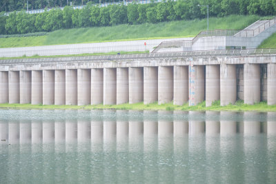 重庆渝中区长江河滩珊瑚坝湿地风光