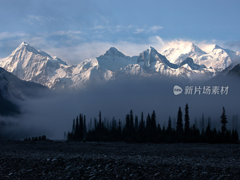 新疆伊犁，早晨晨雾中的森林雪山自然风景