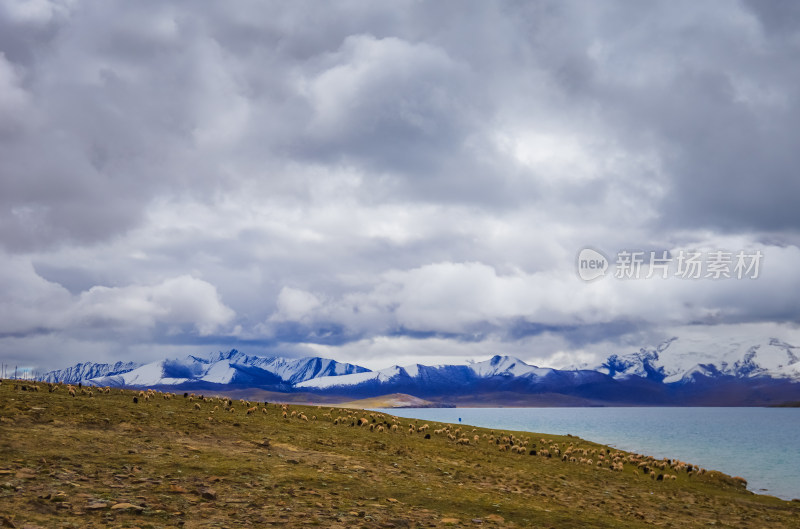 西藏山南普莫庸措山水自然风景