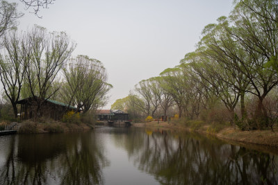 阴天下的公园湖面