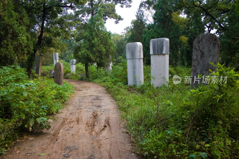 山东曲阜孔林