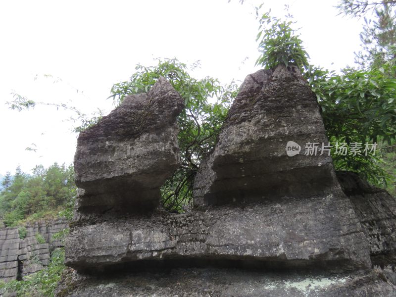 湖北恩施梭布垭石林旅游风光