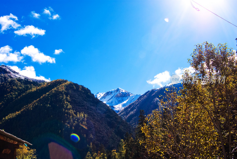 蓝天白云下的雪山山林景观