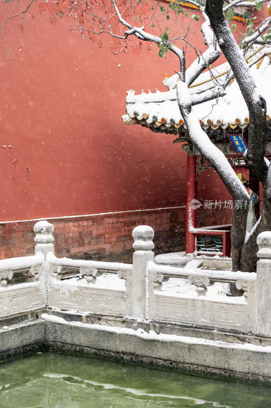 故宫雪景 北京冬天 古建