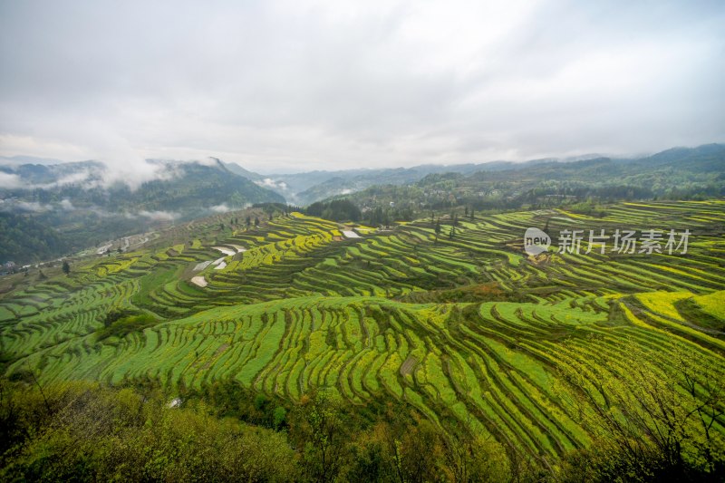 重庆酉阳：青山雾漫别样美