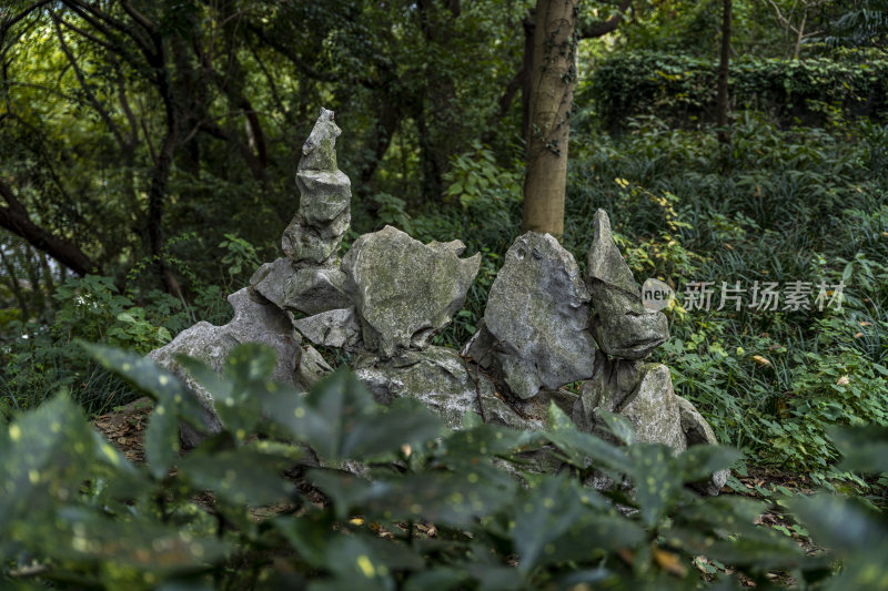 杭州宝石山景区宝云寺遗址