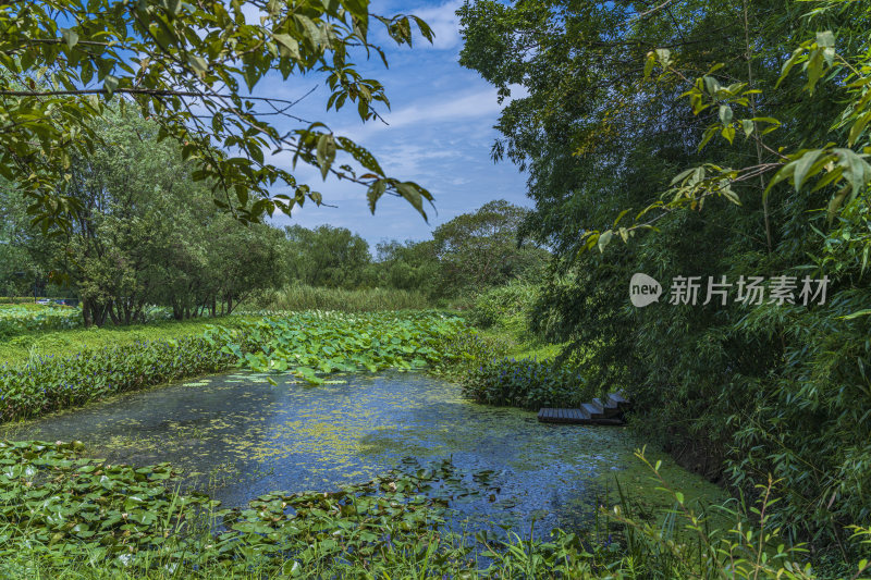 杭州西溪国家湿地公园