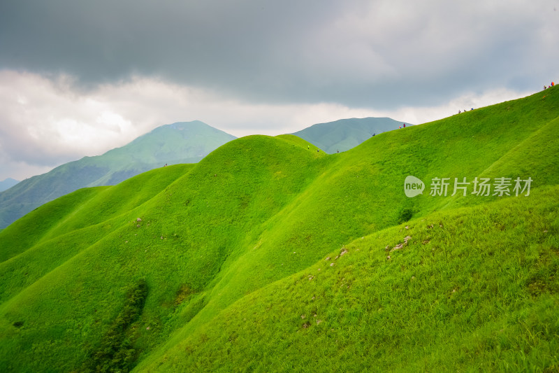 江西武功山高山草甸