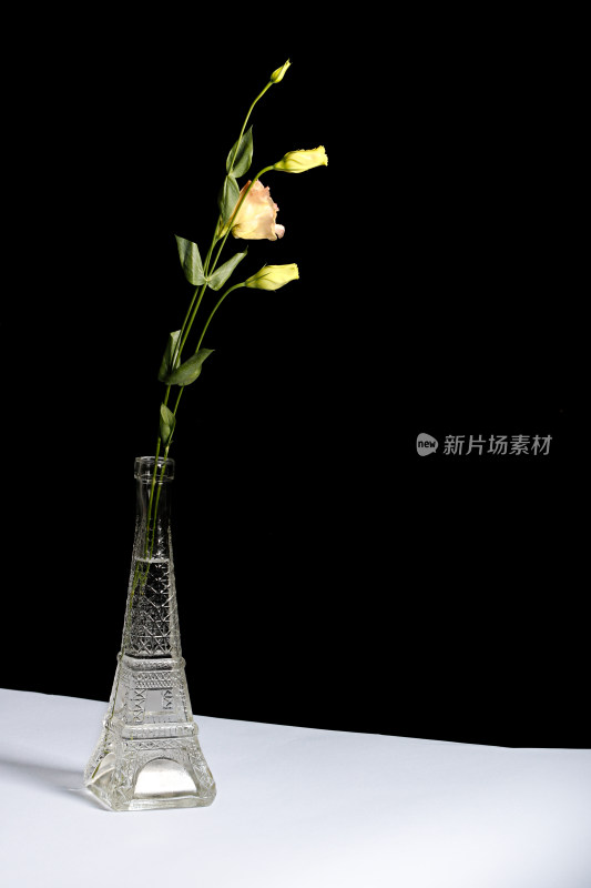 白色桌面上一瓶插花