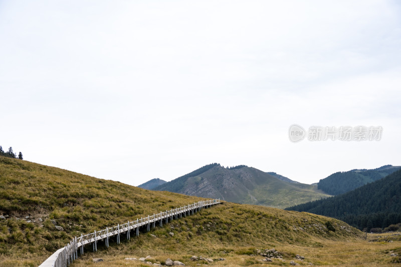 武威冰沟河景区