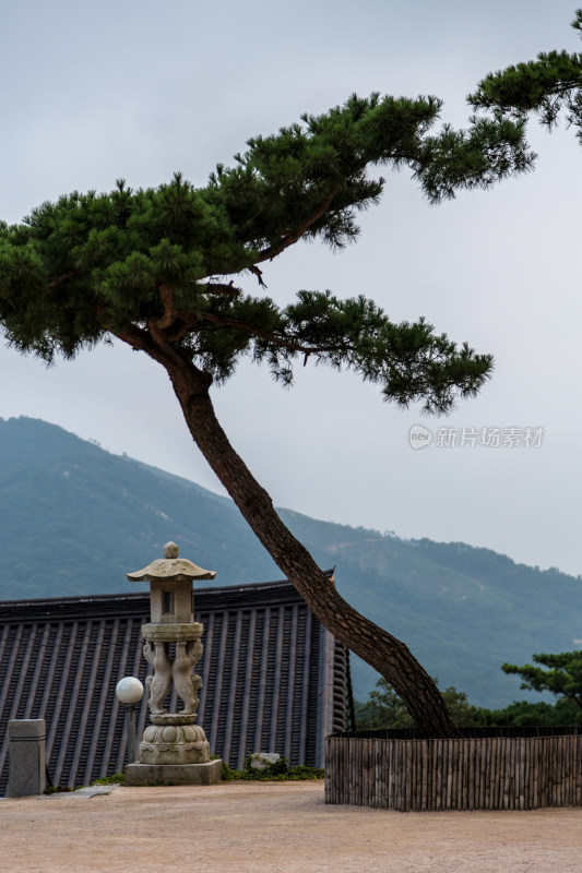 韩国寺院的白塔