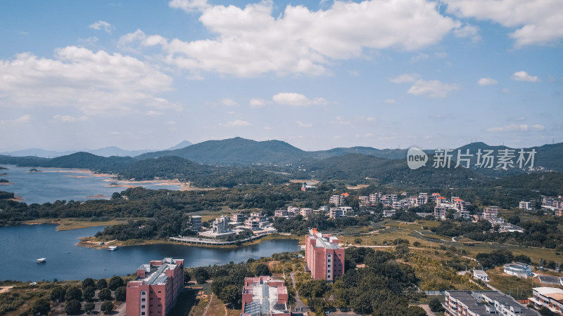 仰恩大学