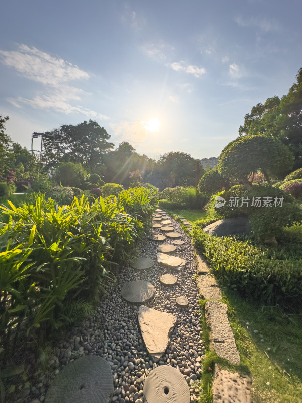 阳光洒满石板路