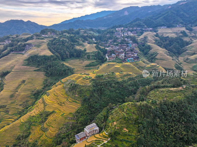 山间村落俯瞰图 梯田层叠景色壮美