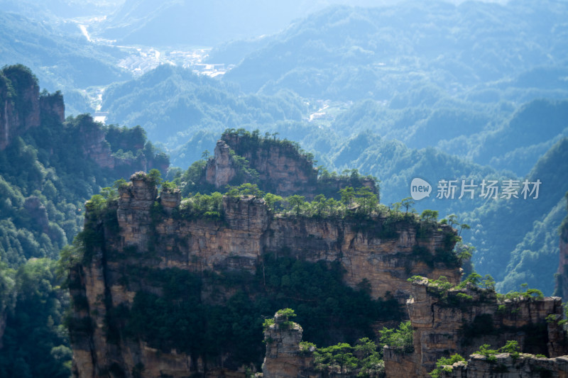 中国湖南张家界景区奇特山峰与茂密森林