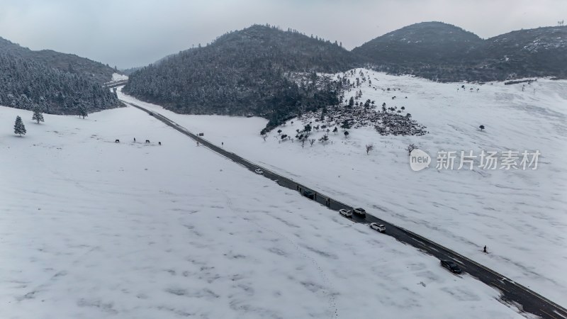 重庆酉阳：大雪纷飞赏雪忙